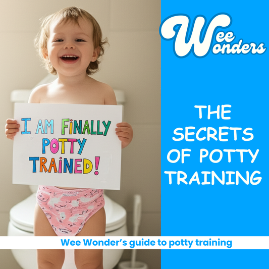 Secrets Of Potty Training - Ebook